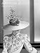 American Beauty: Aesthetics and Innovation in Fashion