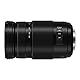 Panasonic LUMIX G II Vario-Objektiv, 100–300 mm, spiegellos, Micro Four Thirds, Power O.I.S, H-FSA100300 (USA Schwarz)