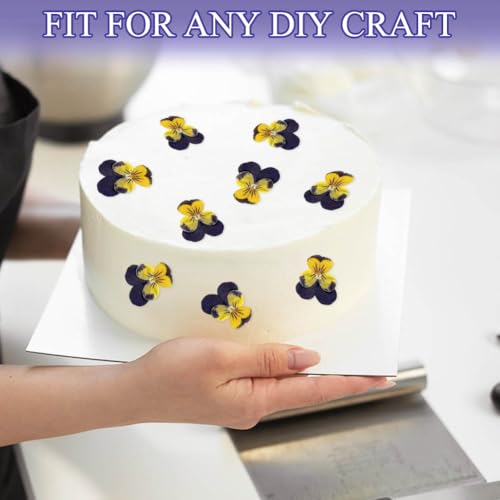 24 Flores Secas Naturales para Manualidades DIY miniatura 5