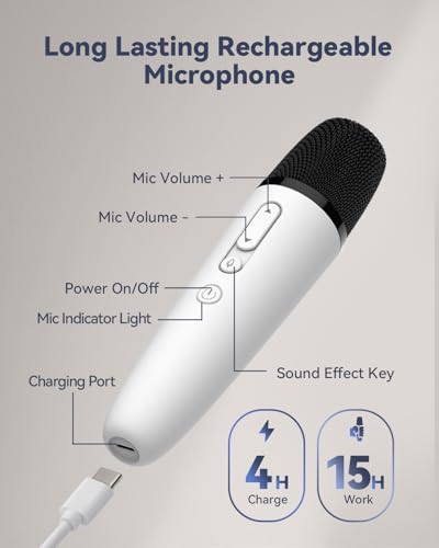 LvDonic Karaoke Mic for Tesla
