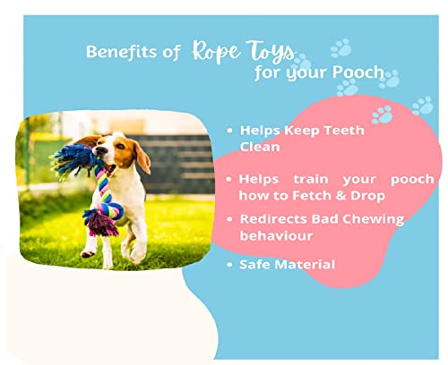Image of Toys for Puppies & Small Dogs: Spike Squeaky Ball, Rope Ball, Cotton, Rubber, Bone, Chew Toy - Training Aid