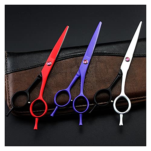 Ciseaux de coiffeur 5,5 pouces double queue pour une coupe nette et fluide