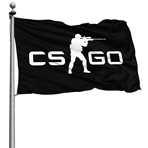 Best Cs Go Streamers