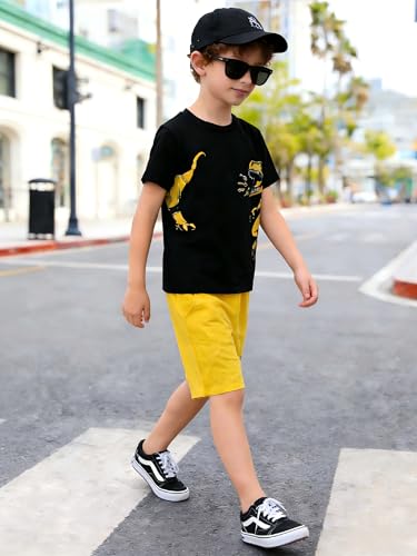Image of Boys' 2 Piece Summer Outfit Cool Dinosaur & Camouflage Graphic Short Sleeve Tee & Shorts Set Size 4-12