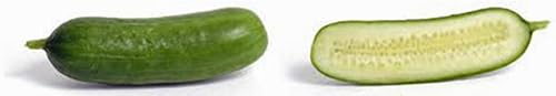 Miniatura 3 de Pepino, encurtido Boston, reliquia, 100 semillas, ideal para encurtir