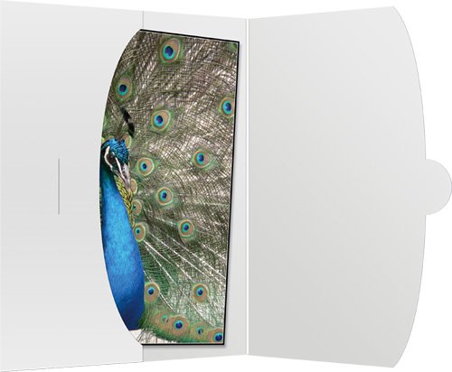 Preisvergleich Produktbild Daiber 1x50 Schutzumschlag bis 15x20 wei