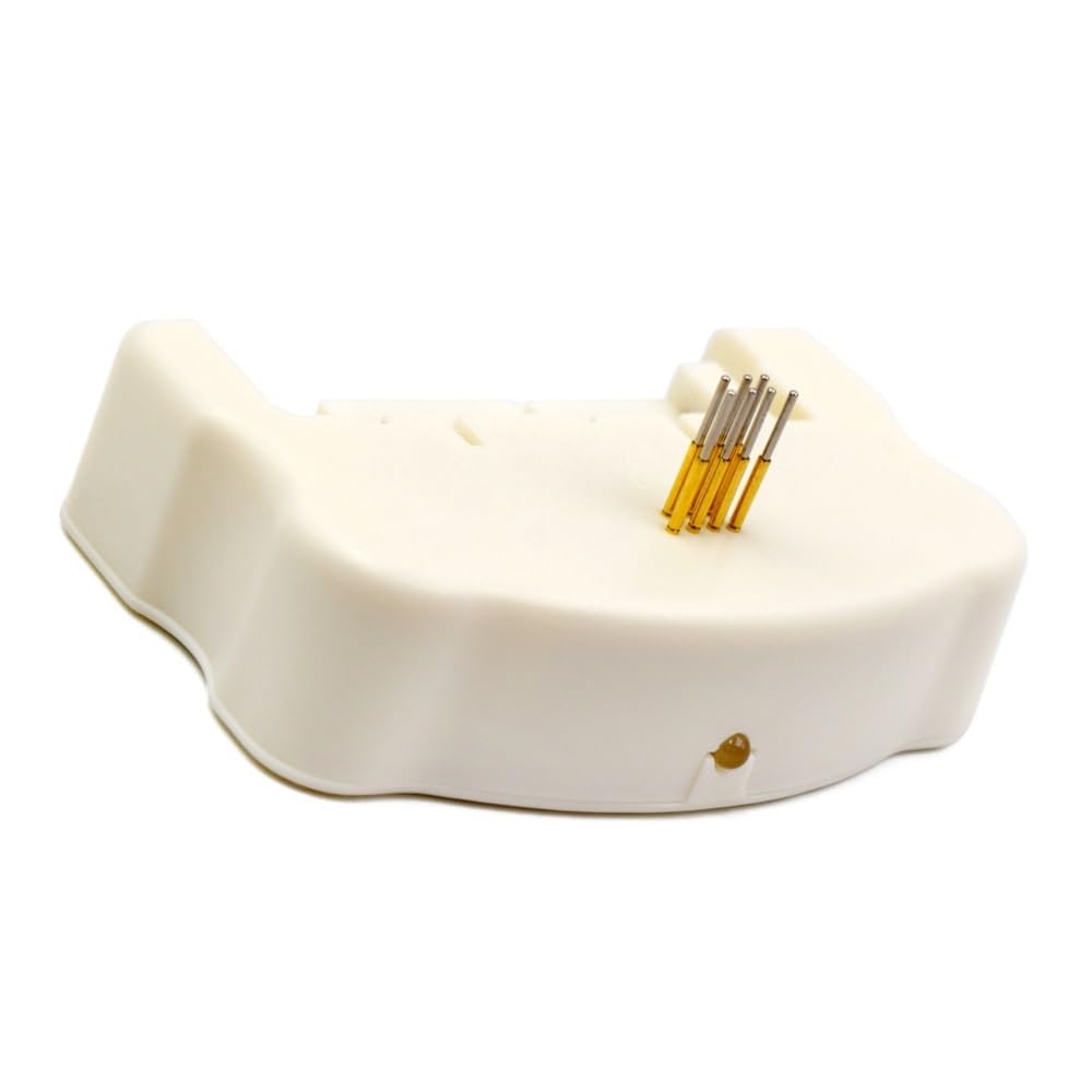Druckerteile C13S210125 SC23MB S2101 F170 Wartungsbox Chip Resetter Passend for Epson SC-F100 SC-F130 SC-F160 SC-F170 Drucker
