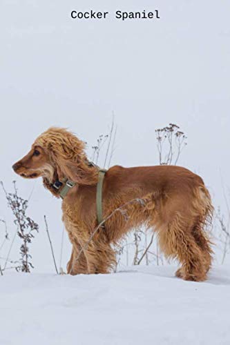 Cocker Spaniel: Small lined Cocker Spaniel notebook - Travel Journal to write in - 120 pages - 6"x9", White