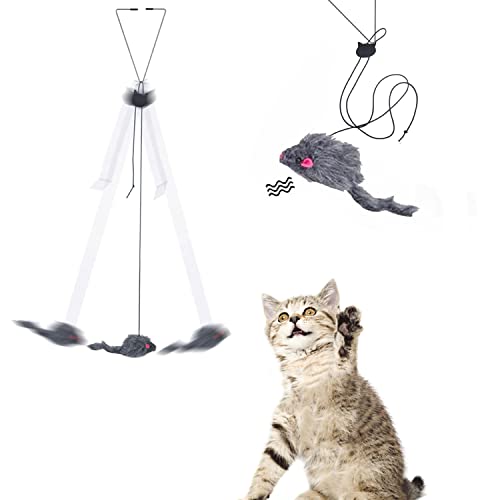 Juguete de Gato Interactivo Instalar en la Puerta, Durable Juguetes para Gatos con Correa Ajustable de 180 cm para Diversión Ejercitar Cover