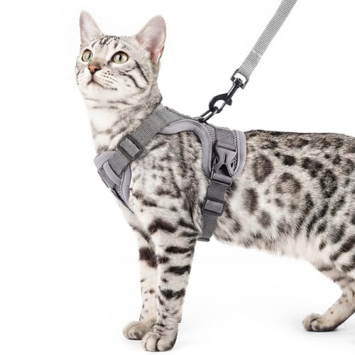 pangdi Cat Harness and Leash...