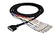 Hosa DTP-802, Balanced Snake, DB25 to 1/4 in TRS, 2 m