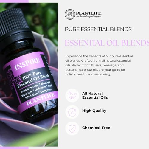 Plantlife Spa Aromatherapy Essential Oil Blend - Straight from The Plant 100% Pure Therapeutic Grade - No Additives or Fillers - Made in California 10 ml - Image 3