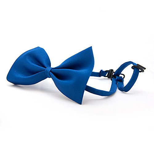 4yourpet - Collar para perros con pajarita de alta calidad, pajarita para perros