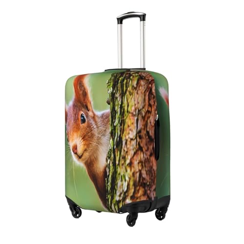 Cute Squirrel Luggage Cover for Suitcase, Suitcase Cover Protector Fit 18-21 Inch Luggage Travel Accessories, S2