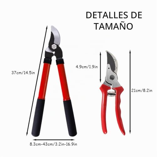Catálogo de Ãrboles de esta semana. 25 Imagen adicional