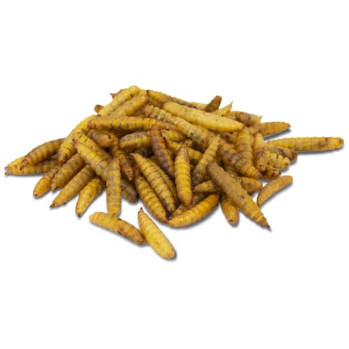 JR Farm Garden Hermetia/Soldatenfl.-Larven 1 kg