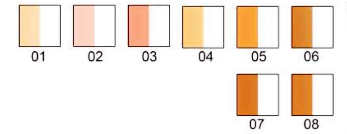 by (Germany) Double Effect Base Serum & Foundation Cream - Professional's Choice FDF 07