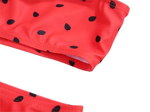 LIZENS Two-Pieces Girls Swimsuit Watermelon Printed Bikini Sets Ruffle Girls Bathing Suit3