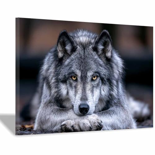 Toile loup sauvage tableau peinture murale salon affiche animaux décoration maison 30x45cm