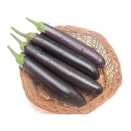Creative Farmer Vegetable Seeds Violet Egg Plant Seeds - Brinjal Cluster Seeds Seeds For Gardening Home Garden Seeds (B07N47V58Q) Amazon Price History, Amazon Price Tracker