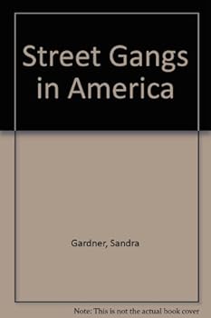 Hardcover Street Gangs in America Book