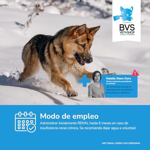 BVS Vet Shop | Diet Renal Schwein mit Gemüse Dose für Hunde | Geeignet zur Unterstützung der Nierenfunktion mit Lachsöl und Präbiotika | 6 Stück x 400 g
