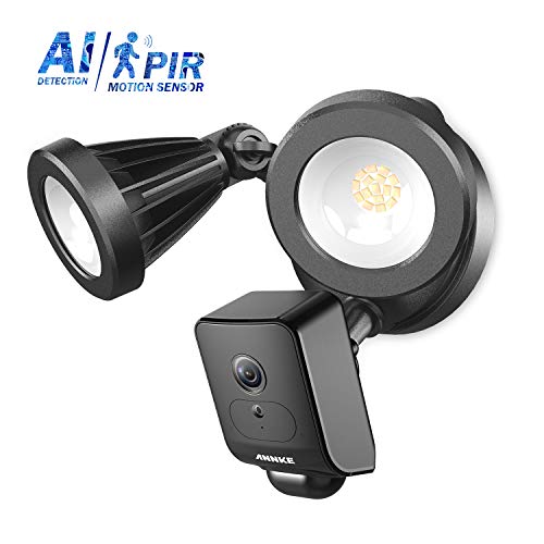 ANNKE Floodlight Camera 1080P AI Wireless 2.4GHz WiFi Home Security System with PIR