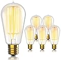 Hudson Bulb Co. Vintage Incandescent Edison Light Bulbs, 60W, E26/E27 Base, 2100K Dimmable Decorative Lights, ST58 Style Warm Glow, Antique Squirrel Filament for Outdoor and Indoor Use - 6 Pack