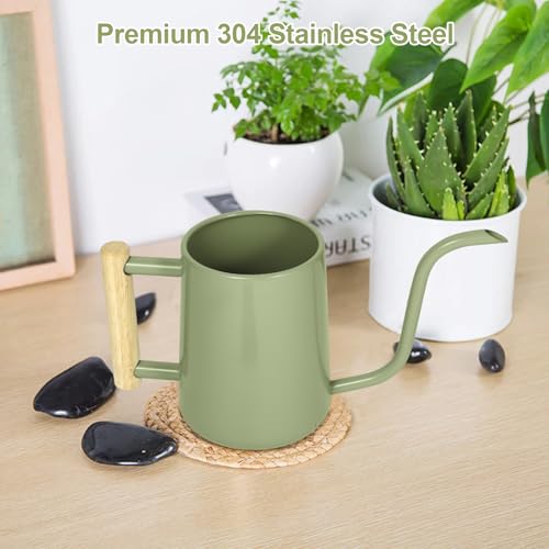 Image of Watering Can Indoor Plants, 35 oz /1000 ml Metal Stainless Steel Watering Can Pot with Long Spout for Indoor House Plants Bonsai Outdoor Garden Flower Decorative (Sage Green)