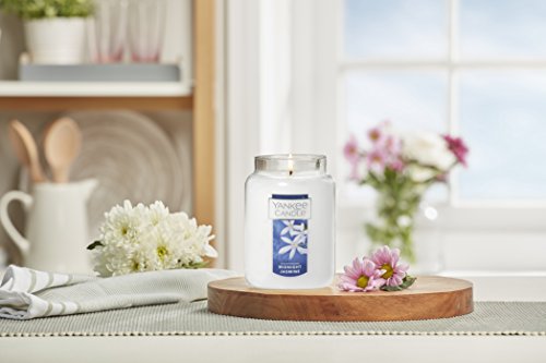 Yankee Candle Midnight Jasmine Scented, Classic 22oz Large Jar Single Wick Candle, Over 110 Hours of Burn Time