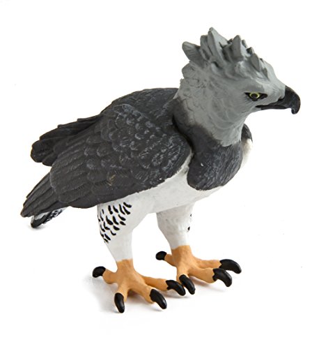 Safari - Eagle Harpia Animals, Multicoloured (S150929) #TOP1