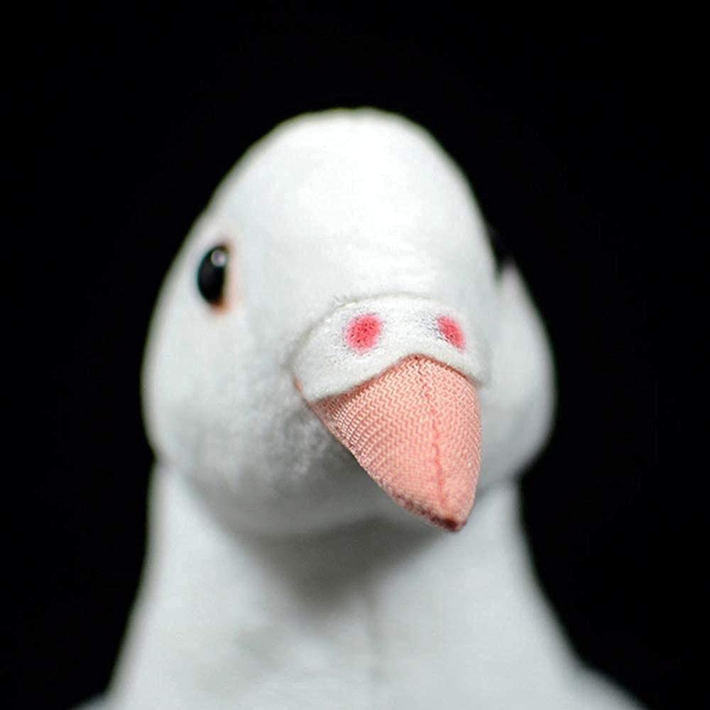 鳩ぬいぐるみ Amazon.co.jp: 鳩 リアル ハトぬいぐるみ 抱き枕 可愛い 小さい 鳩の図