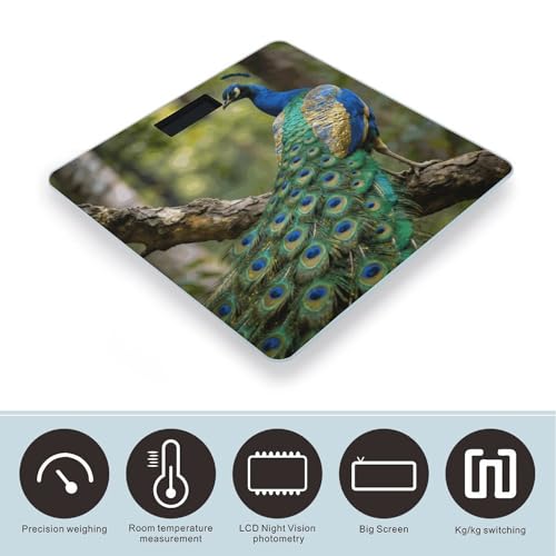 Báscula digital Colorful Peacock para baño, precisión 400lb miniatura 3