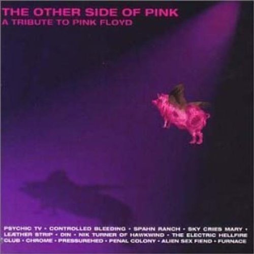 Other Side of Pink-Pink Floyd [Audio CD]