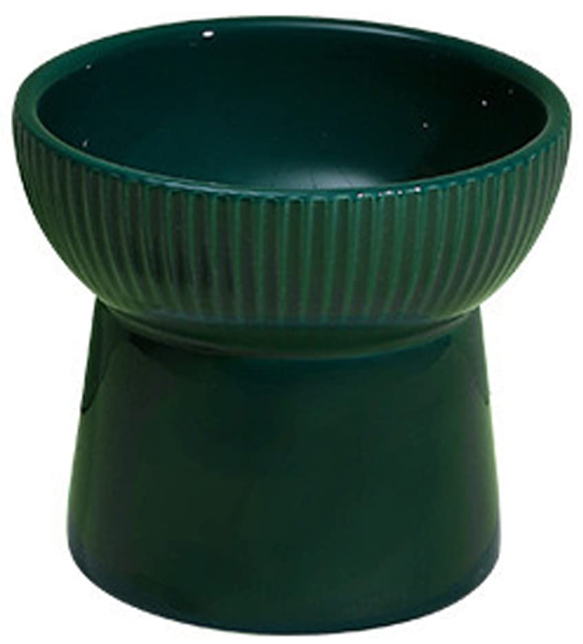 Image of PETANGEL Ceramic Cat Food Or Water Bowl,Raised Cat Feeder Dishes with Stand,Elevated Pet Food Bowl for Cats & Small Dogs,Stress Free Backflow Prevention,Anti Vomiting & Reduce Neck Burden(Dark Green)