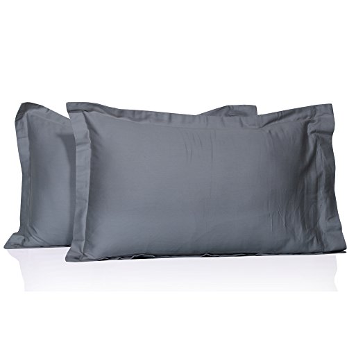 Stylish Bedding Solid Pattern 100% Egyptian Cotton 500 Thread Count 2 Pc Pillow Shams All Size & Colors (King, Silver Grey)