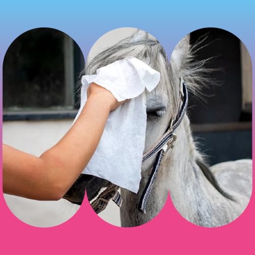 Petall Allround Giant Pet Towels | 50 Huge Pet Wipes