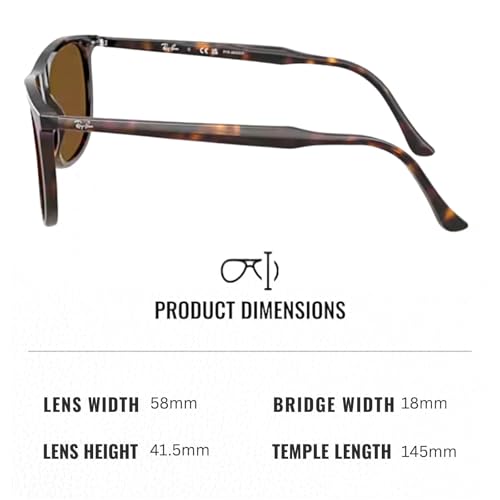 Ray-Ban RB2216 Rectangle Shaped Sunglasses for Men & Women with Official RAYBAN Eyewear Kit4