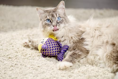 Jouet pour chat herbe à chat solide poisson interactif d'intérieur et chaton - 3