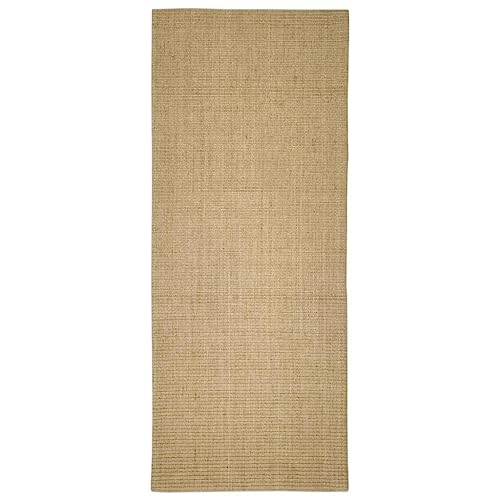 Sisal carpet nature The 15 best products in comparison