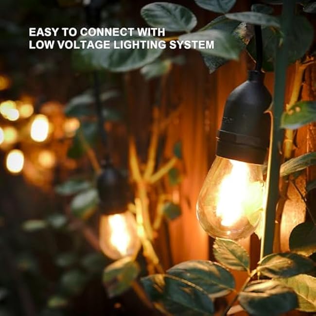 GOODSMANN LED Low Voltage String Lights 12V AC 50FT 10PCS 2W Bulbs 135 Lumens Hanging Landscape Lighting 2800K String Weatherproof Decorative Light for Patio Light