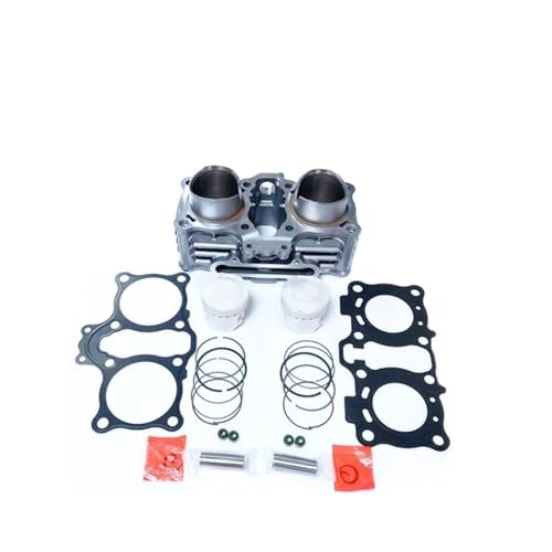 Kit de segments de piston GW250 250cc pour moteur moto GSX250 DL250