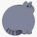Russian Blue Chonk Sticker Vinyl Waterproof Sticker Decal Car Laptop Wall Window Bumper Sticker 5'