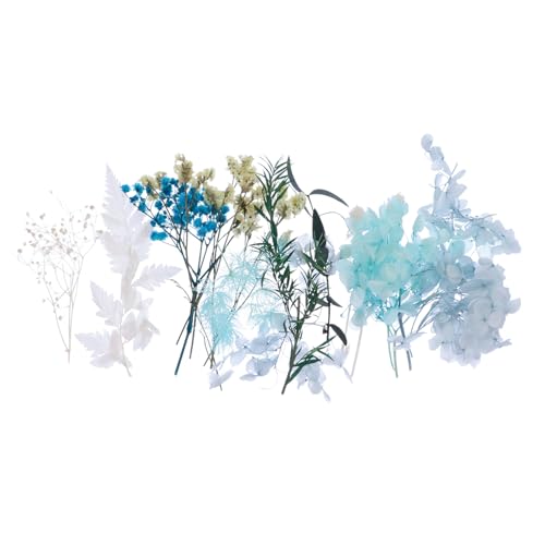 Kit de flores secas prensadas para manualidades Unomor miniatura 1