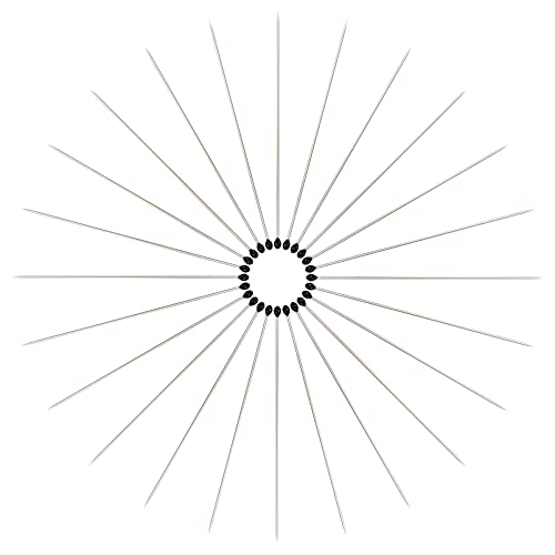 iplusmile 200pièces Broches Acier Inoxydable Pour Dissection Échantillons Aiguilles De Prélèvement Pour Collection Insectes Broches Entomologiques