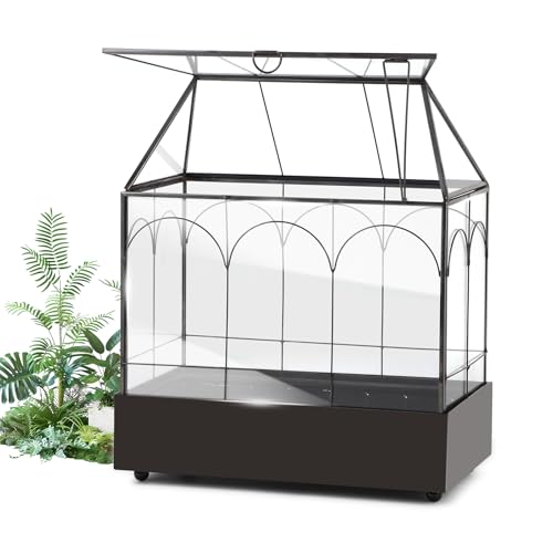 EFUTURETIME Mini Gewächshaus Fensterbank Glas mit Auffangschale...