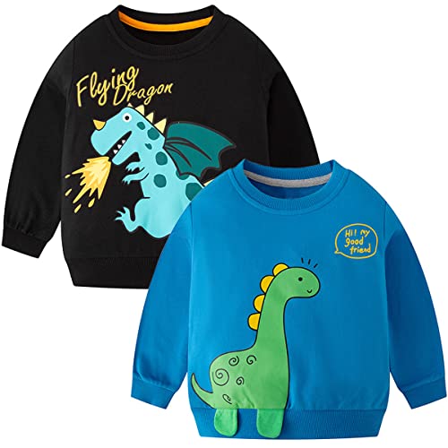 Toddler Boys Crewneck Sweatshirts Long Sleeve Dinosaurs Shirt Tops