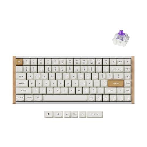 Gateron Double-Rail Magnetic Switch - White