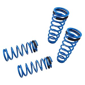 Megan Racing MR-LS-LI01 Coilover Lowering Spring