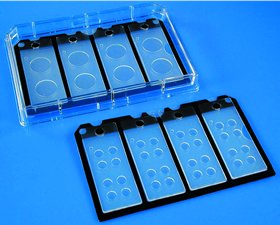 CultureWell Insert 6mm Dia